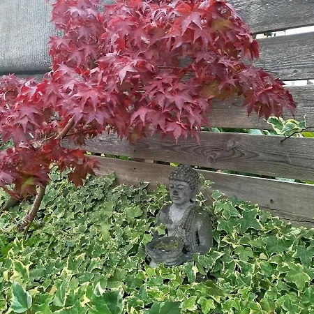 Small Atypical House, In Alsace Selestat
