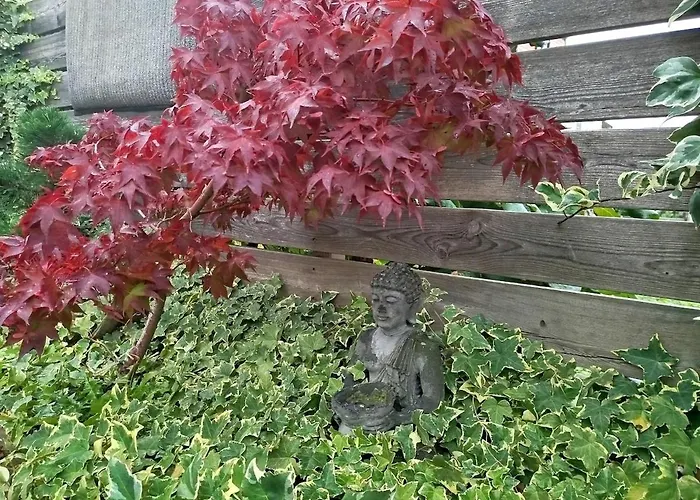 Small Atypical House, In Alsace Selestat